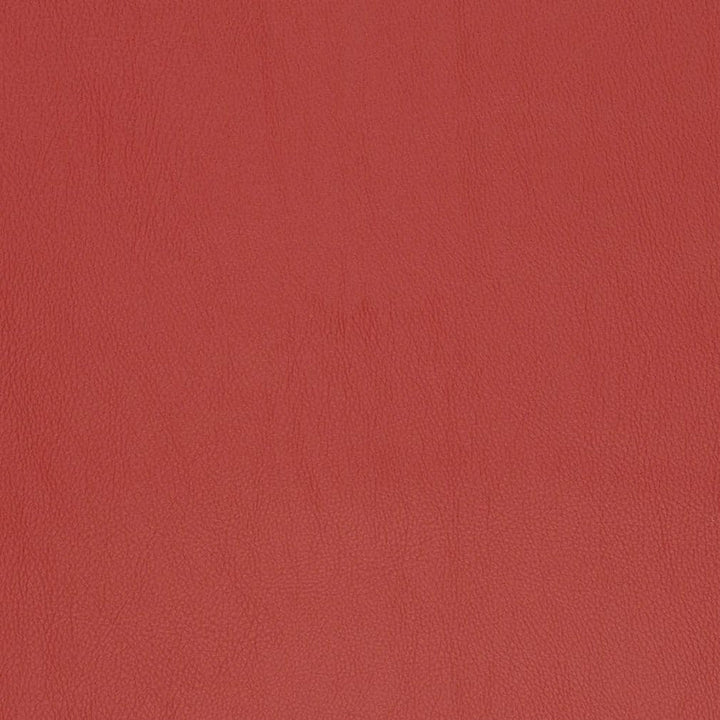 V811 by Charlotte Designer Fabric Breathables V 100% Polyurethane, 26oz. Asia Exceeds 2,000,000 Wyzenbeek Rubs (Heavy Duty) No Repeat 54 Inches - Swanky Fabrics -