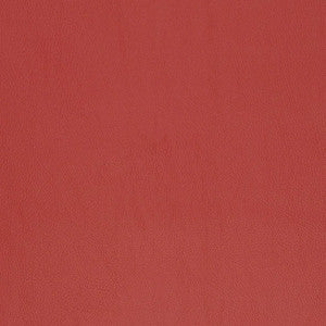 V811 by Charlotte Designer Fabric