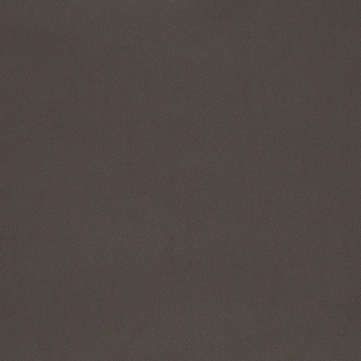 V812 by Charlotte Designer Fabric Breathables V 100% Polyurethane, 26oz. Asia Exceeds 2,000,000 Wyzenbeek Rubs (Heavy Duty) No Repeat 54 Inches - Swanky Fabrics -