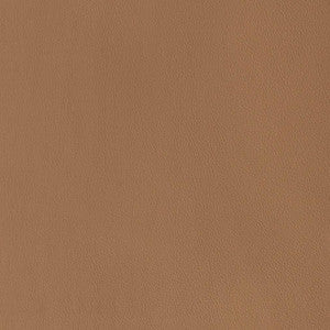 V813 by Charlotte Designer Fabric