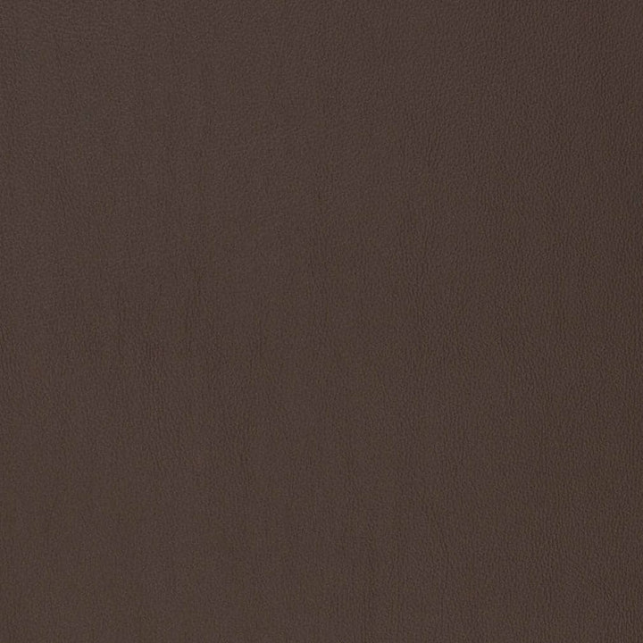 V816 by Charlotte Designer Fabric Breathables V 100% Polyurethane, 26oz. Asia Exceeds 2,000,000 Wyzenbeek Rubs (Heavy Duty) No Repeat 54 Inches - Swanky Fabrics -