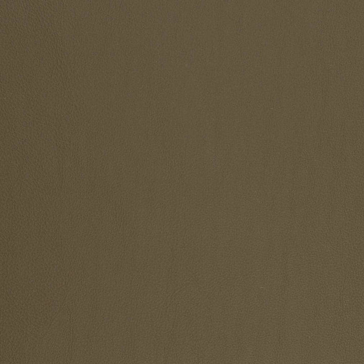 V817 by Charlotte Designer Fabric Breathables V 100% Polyurethane, 26oz. Asia Exceeds 2,000,000 Wyzenbeek Rubs (Heavy Duty) No Repeat 54 Inches - Swanky Fabrics -