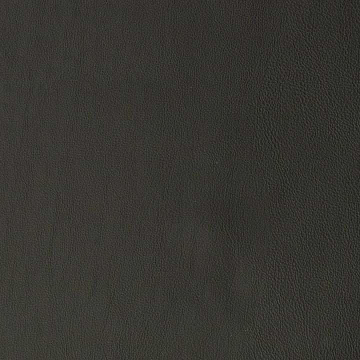 V818 by Charlotte Designer Fabric Breathables V 100% Polyurethane, 26oz. Asia Exceeds 2,000,000 Wyzenbeek Rubs (Heavy Duty) No Repeat 54 Inches - Swanky Fabrics -