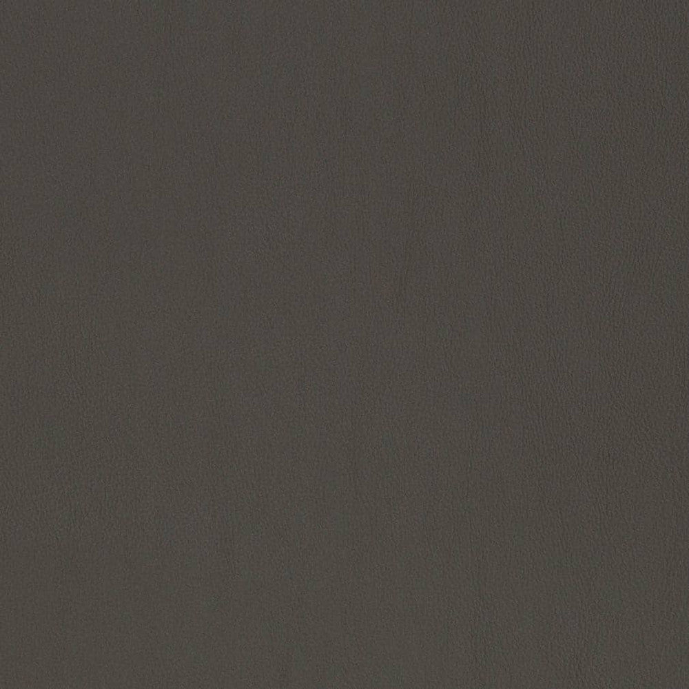 V819 by Charlotte Designer Fabric Breathables V 100% Polyurethane, 26oz. Asia Exceeds 2,000,000 Wyzenbeek Rubs (Heavy Duty) No Repeat 54 Inches - Swanky Fabrics -