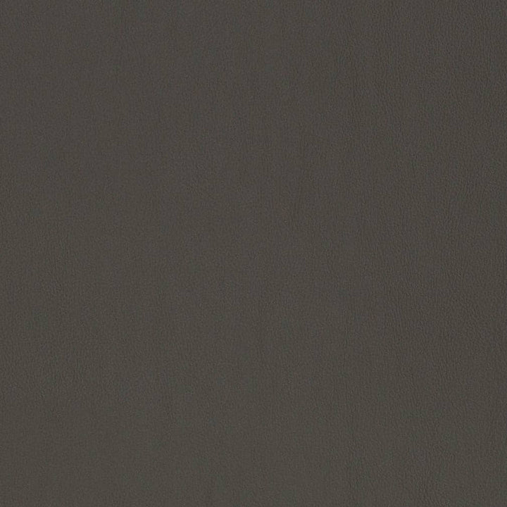 V819 by Charlotte Designer Fabric Breathables V 100% Polyurethane, 26oz. Asia Exceeds 2,000,000 Wyzenbeek Rubs (Heavy Duty) No Repeat 54 Inches - Swanky Fabrics -