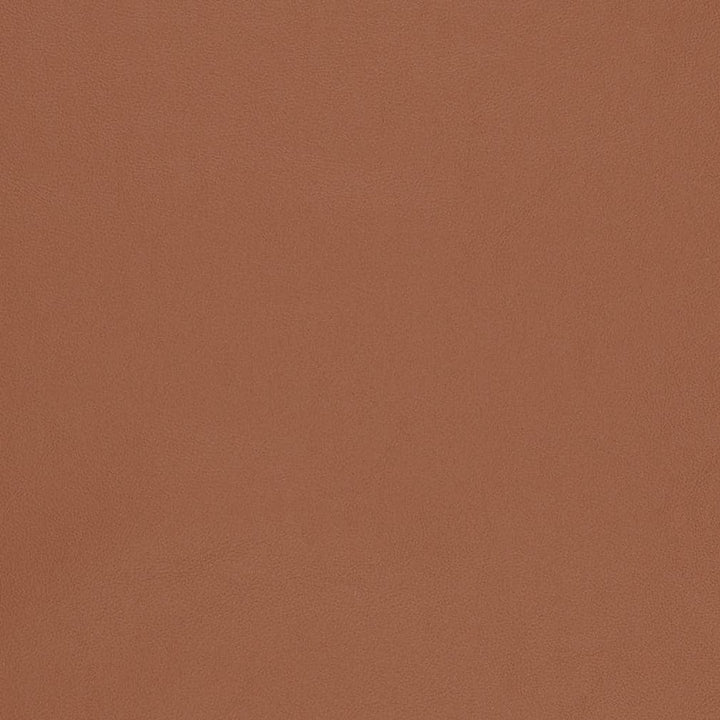 V824 by Charlotte Designer Fabric Breathables V 100% Polyurethane, 26oz. Asia Exceeds 2,000,000 Wyzenbeek Rubs (Heavy Duty) No Repeat 54 Inches - Swanky Fabrics -