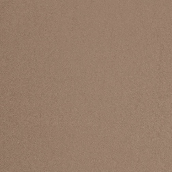 V827 by Charlotte Designer Fabric Breathables V 100% Polyurethane, 26oz. Asia Exceeds 2,000,000 Wyzenbeek Rubs (Heavy Duty) No Repeat 54 Inches - Swanky Fabrics -