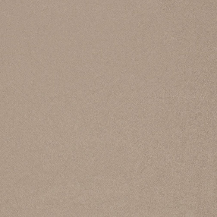 V829 by Charlotte Designer Fabric Breathables V 100% Polyurethane, 26oz. Asia Exceeds 2,000,000 Wyzenbeek Rubs (Heavy Duty) No Repeat 54 Inches - Swanky Fabrics -