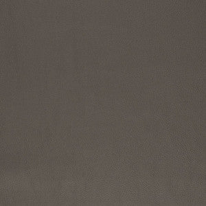 V831 by Charlotte Designer Fabric