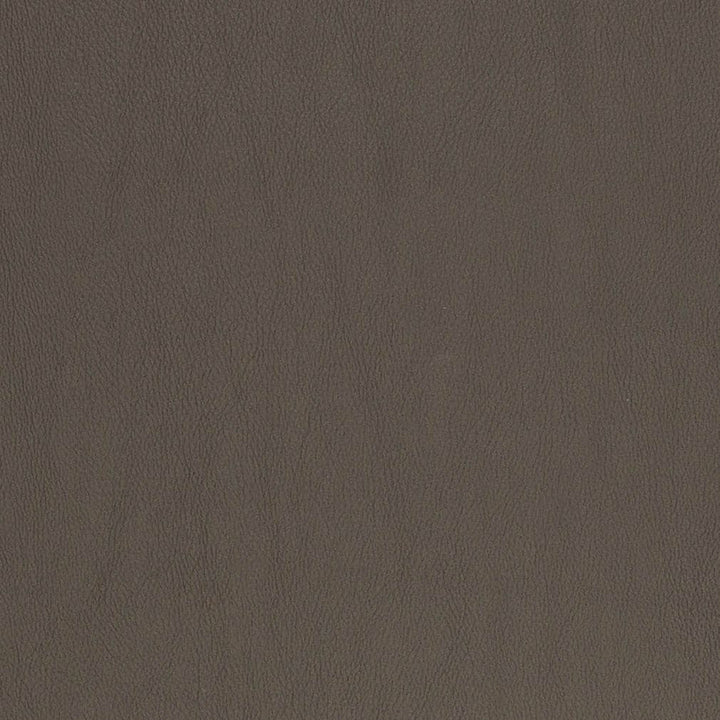 V833 by Charlotte Designer Fabric Breathables V 100% Polyurethane, 26oz. Asia Exceeds 2,000,000 Wyzenbeek Rubs (Heavy Duty) No Repeat 54 Inches - Swanky Fabrics -