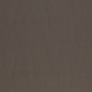 V833 by Charlotte Designer Fabric