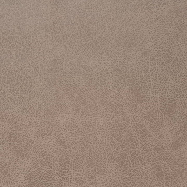 V858 Latte by Charlotte Fabric Leather Looks 100% Polyester Asia Exceeds 100,000 Wyzenbeek Rubs (Heavy Duty) No Repeat 54 Inches - Fabric Carolina -