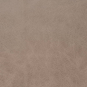 V858 Latte by Charlotte Designer Fabric