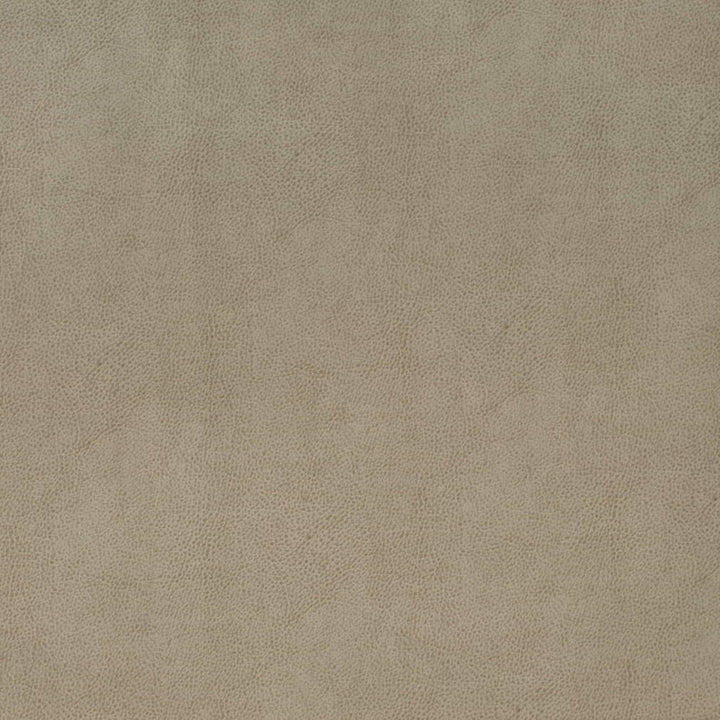 V863 Flint by Charlotte Fabric Leather Looks 69% Polyurethane, 28% Polyester, 3% Cotton Asia Exceeds 100,000 Wyzenbeek Rubs (Heavy Duty) No Repeat 54 Inches - Fabric Carolina -