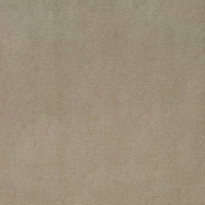 V863 Flint by Charlotte Designer Fabric