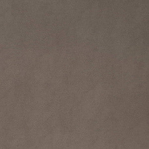 V865 Pewter by Charlotte Designer Fabric