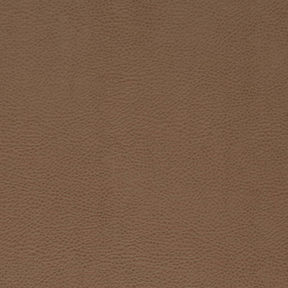 V869 Bronze by Charlotte Fabric Leather Looks 100% Polyurethane Asia Exceeds 100,000 Wyzenbeek Rubs (Heavy Duty) No Repeat 54 Inches - Fabric Carolina -
