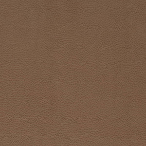 V869 Bronze by Charlotte Designer Fabric