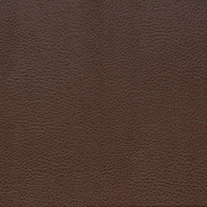 V872 Pecan by Charlotte Designer Fabric