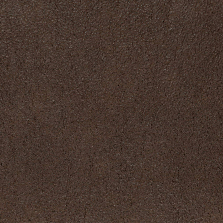 V873 Bison by Charlotte Fabric Leather Looks 100% Polyester Asia Exceeds 100,000 Wyzenbeek Rubs (Heavy Duty) No Repeat 54 Inches - Fabric Carolina -