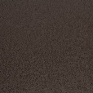V874 Walnut by Charlotte Designer Fabric