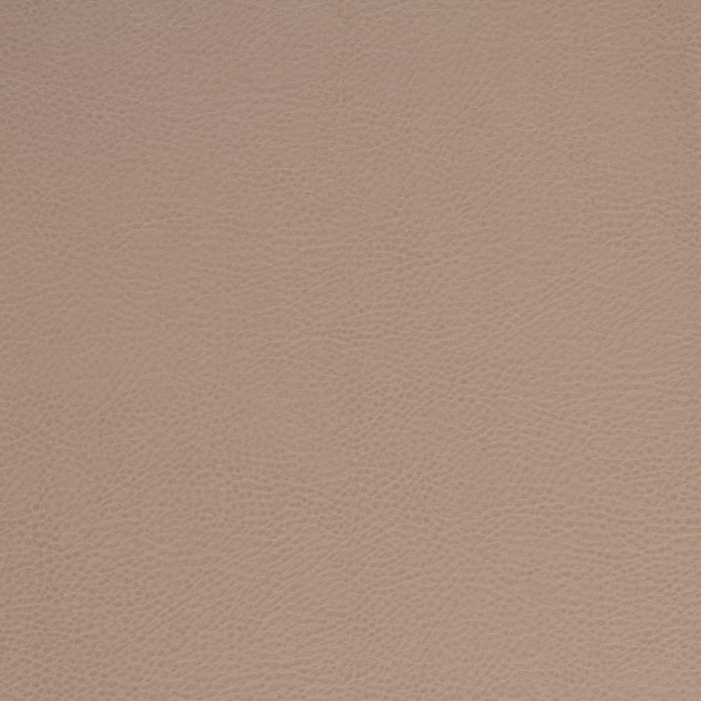 V875 Clay by Charlotte Fabric Leather Looks 100% Polyurethane Asia Exceeds 100,000 Wyzenbeek Rubs (Heavy Duty) No Repeat 54 Inches - Fabric Carolina -