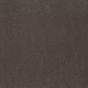 V876 Graphite by Charlotte Designer Fabric