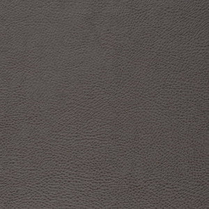 V877 Lead by Charlotte Designer Fabric