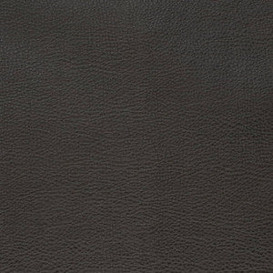 V879 Ebony by Charlotte Designer Fabric