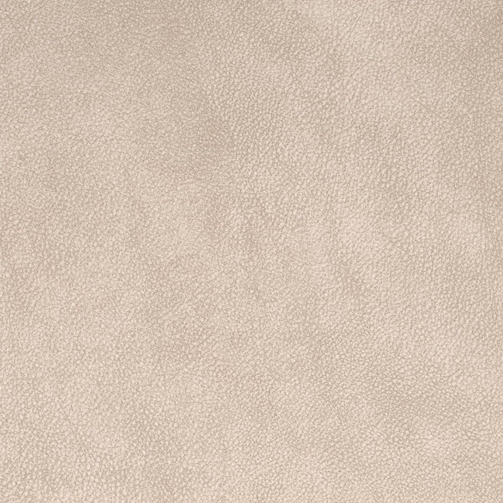 V882 Ash by Charlotte Fabric Leather Looks 75% Polyester, 25% Polyurethane Asia Exceeds 100,000 Wyzenbeek Rubs (Heavy Duty) No Repeat 54 Inches - Fabric Carolina -