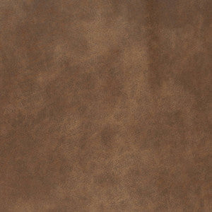 V888 Pueblo by Charlotte Designer Fabric