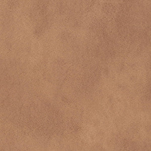 V896 Desert by Charlotte Designer Fabric