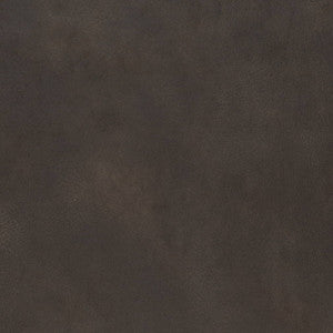 V898 Espresso by Charlotte Designer Fabric