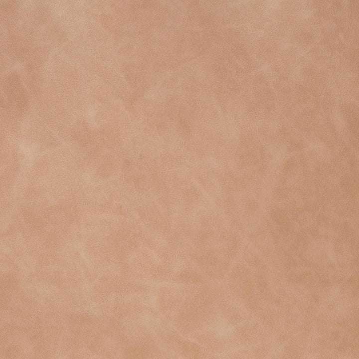 V906 Dune by Charlotte Fabric Leather Looks 100% Polyurethane Asia Exceeds 100,000 Wyzenbeek Rubs (Heavy Duty) No Repeat 54 Inches - Fabric Carolina -