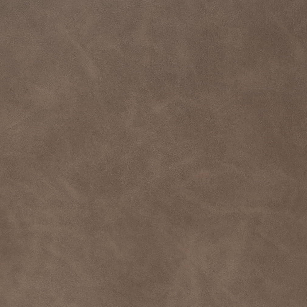 V908 Earth by Charlotte Fabric Leather Looks 100% Polyurethane Asia Exceeds 100,000 Wyzenbeek Rubs (Heavy Duty) No Repeat 54 Inches - Fabric Carolina -