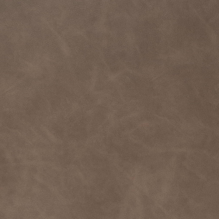 V908 Earth by Charlotte Fabric Leather Looks 100% Polyurethane Asia Exceeds 100,000 Wyzenbeek Rubs (Heavy Duty) No Repeat 54 Inches - Fabric Carolina -