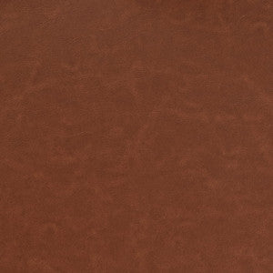 V924 Saddle by Charlotte Designer Fabric