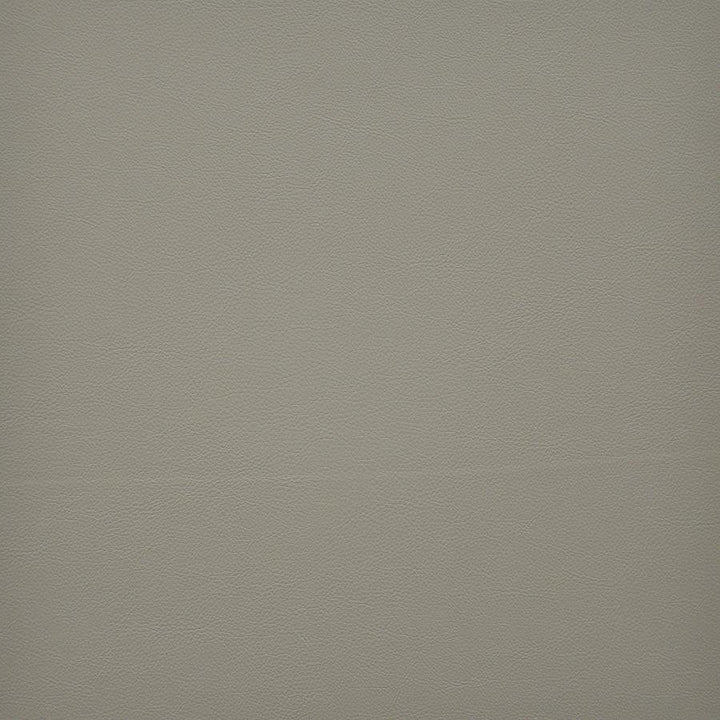 Vesper # 202 Aniseed by Maxwell Designer Fabric Easy Rider Vi 100% PVC TAIWAN 54" - Swanky Fabrics -