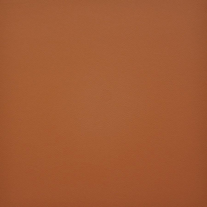 Vesper # 233 Safflower by Maxwell Designer Fabric Easy Rider Vi 100% PVC TAIWAN 54" - Swanky Fabrics -