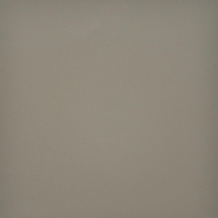Vesper # 240 Papyrus by Maxwell Designer Fabric Easy Rider Vi 100% PVC TAIWAN 54" - Swanky Fabrics -