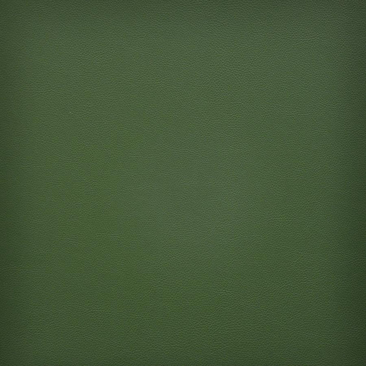 Vesper # 242 Fern by Maxwell Designer Fabric Easy Rider Vi 100% PVC TAIWAN 54" - Swanky Fabrics -
