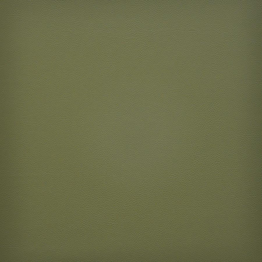 Vesper # 245 Picholine by Maxwell Designer Fabric Easy Rider Vi 100% PVC TAIWAN 54" - Swanky Fabrics -