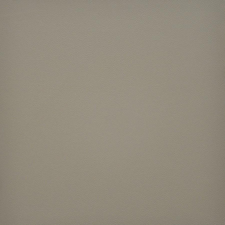 Vesper # 247 Porcini by Maxwell Designer Fabric Easy Rider Vi 100% PVC TAIWAN 54" - Swanky Fabrics -