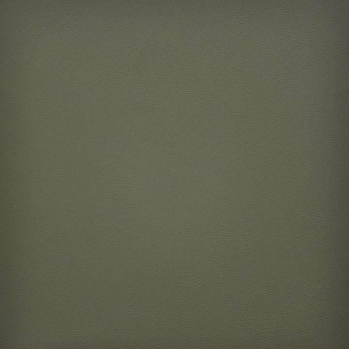Vesper # 249 Sage by Maxwell Designer Fabric Easy Rider Vi 100% PVC TAIWAN 54" - Swanky Fabrics -