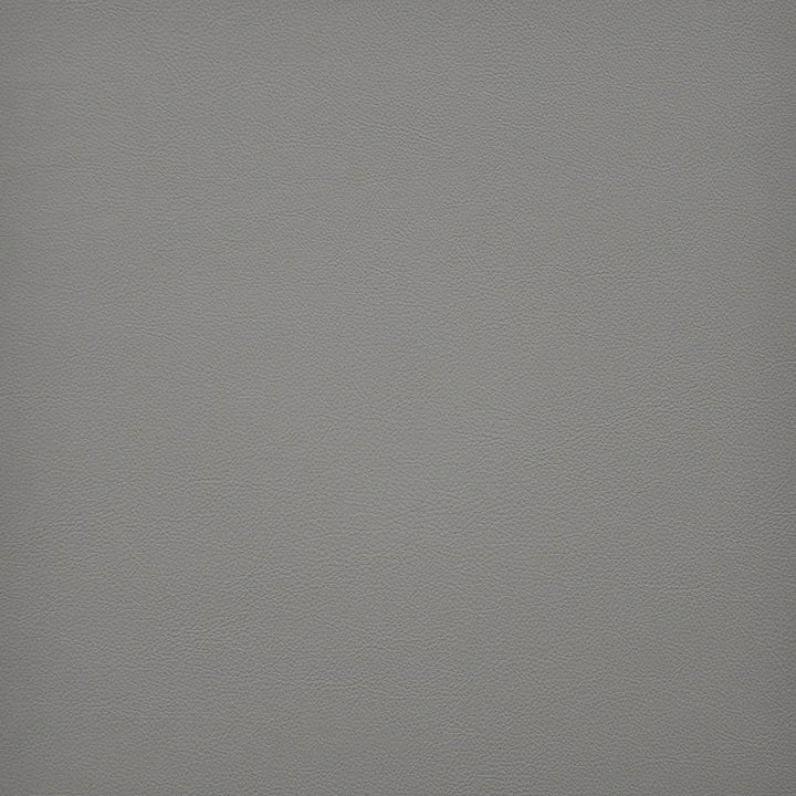 Vesper # 268 Mortar by Maxwell Designer Fabric Easy Rider Vi 100% PVC TAIWAN 54" - Swanky Fabrics -