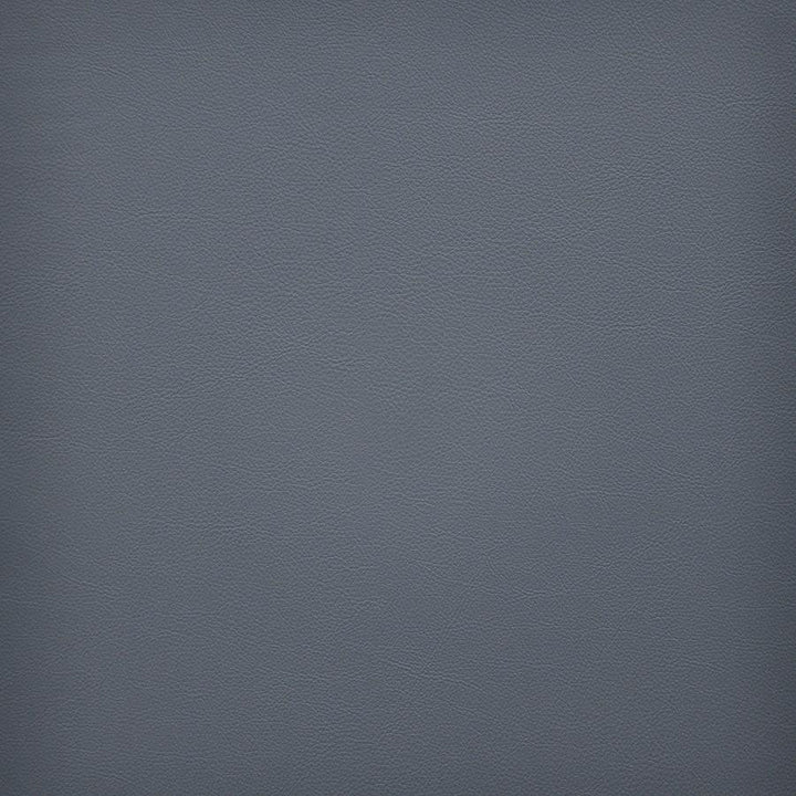 Vesper # 270 Comet by Maxwell Designer Fabric Easy Rider Vi 100% PVC TAIWAN 54" - Swanky Fabrics -