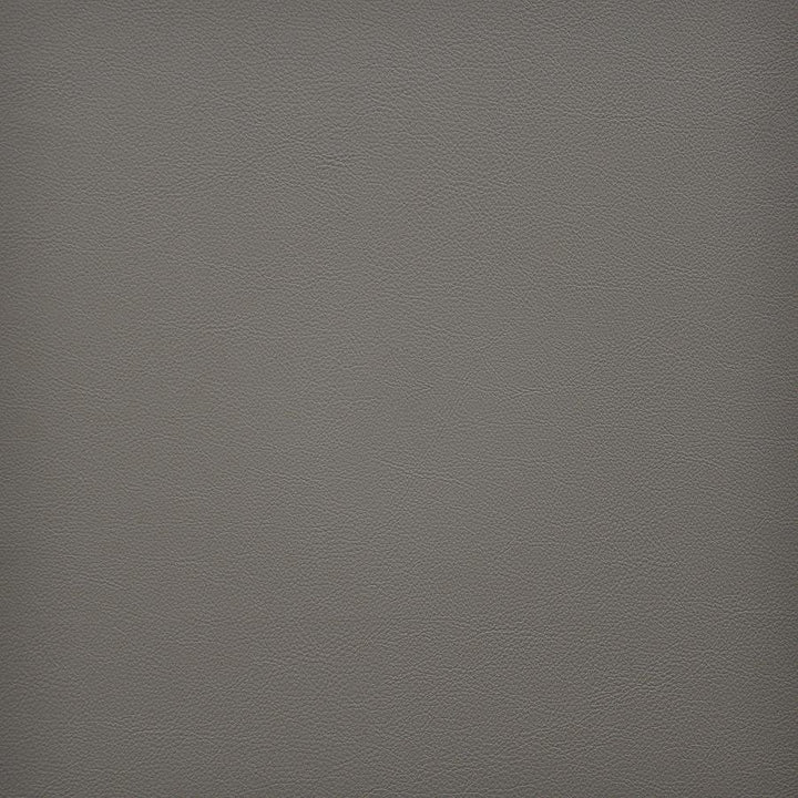 Vesper # 271 Sandstone by Maxwell Designer Fabric Easy Rider Vi 100% PVC TAIWAN 54" - Swanky Fabrics -