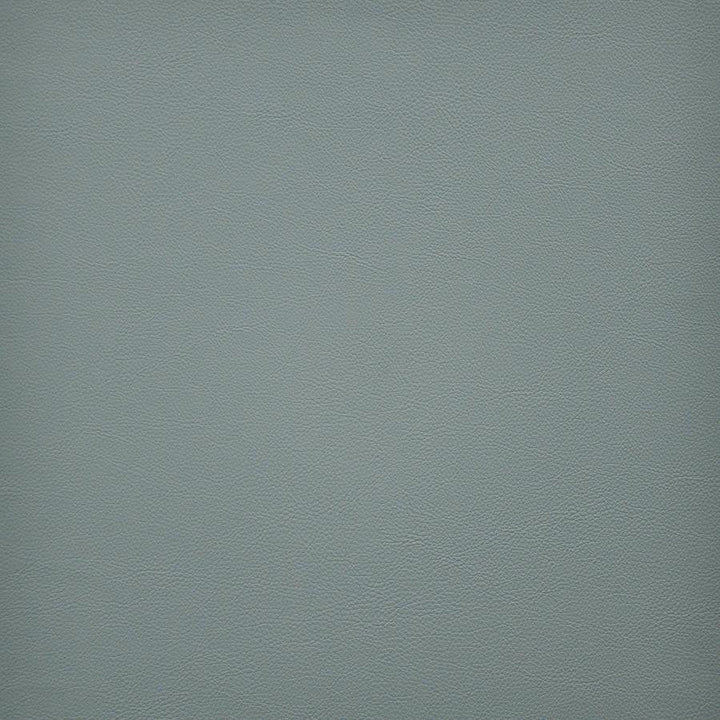 Vesper # 277 Reef by Maxwell Designer Fabric Easy Rider Vi 100% PVC TAIWAN 54" - Swanky Fabrics -