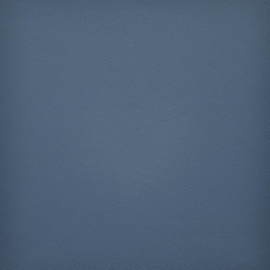 Vesper # 279 Lake by Maxwell Designer Fabric Easy Rider Vi 100% PVC TAIWAN 54" - Swanky Fabrics -