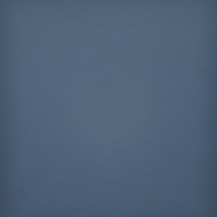 Vesper # 279 Lake by Maxwell Designer Fabric Easy Rider Vi 100% PVC TAIWAN 54" - Swanky Fabrics -